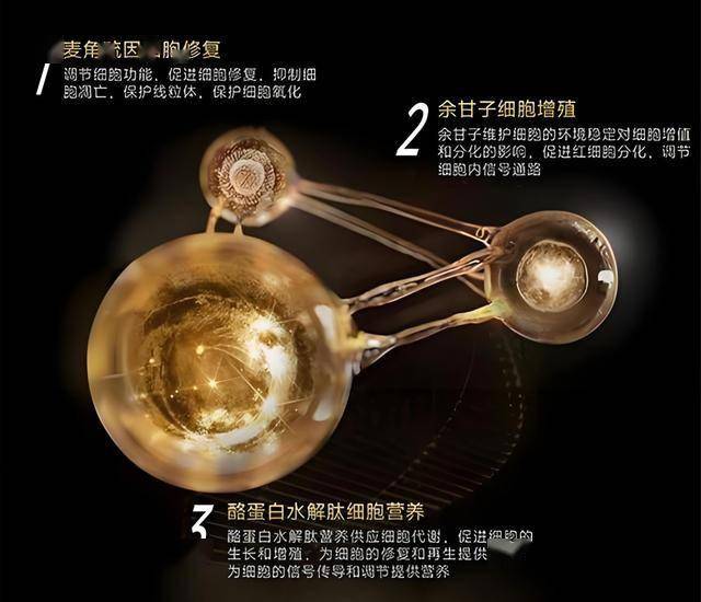 PE开展“抄底”餐饮：凯雷收购争鲜26%股份，安宏资本收购Wagas